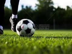 郭德纲领衔,岳云鹏,郭麒麟等齐,Ladbrokes,Sports,立博体育,体育直播,体育赛事,APP下载,官方网地址