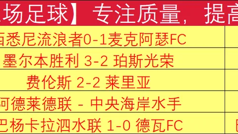 德甲神迹连斩7场！揭秘：幕后数据有何惊人秘密？