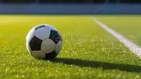 “王者归来，五战四捷！国王能否在这轮挑战中开启本赛季首冠五连胜之旅？”